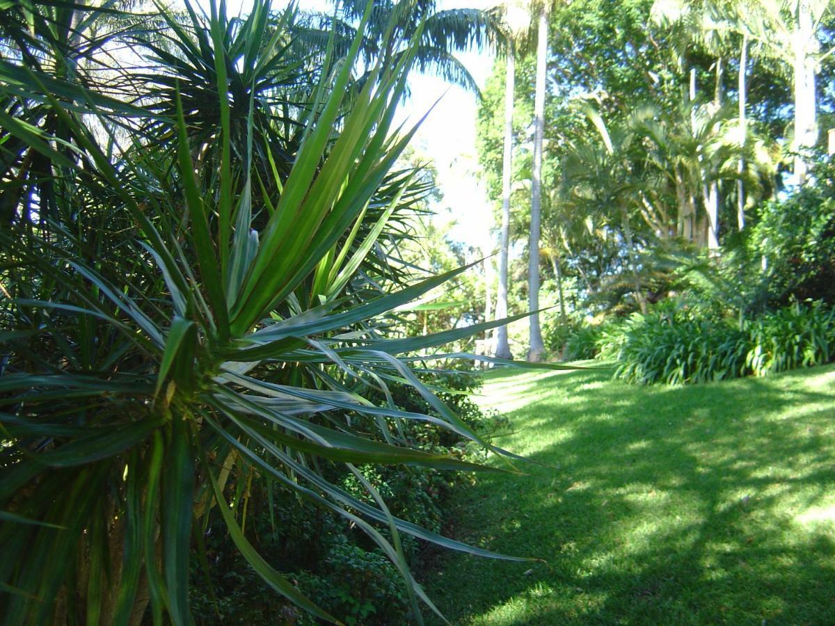 Sensom Boutique Bed And Breakfast Sapphire Beach Exterior foto